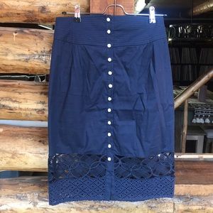 Catharine Malandrino Navy Skirt, worn a few times